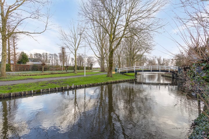 Foto 12 van Zwenkgras 11