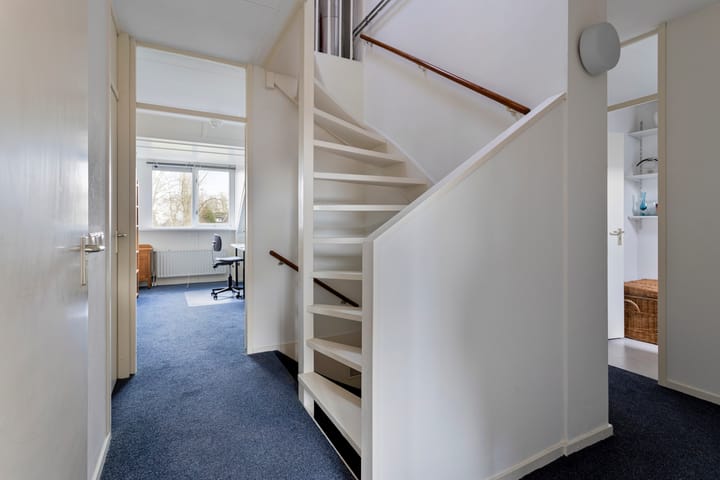 Foto 15 van Zwenkgras 11