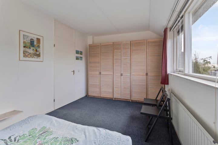 Foto 17 van Zwenkgras 11