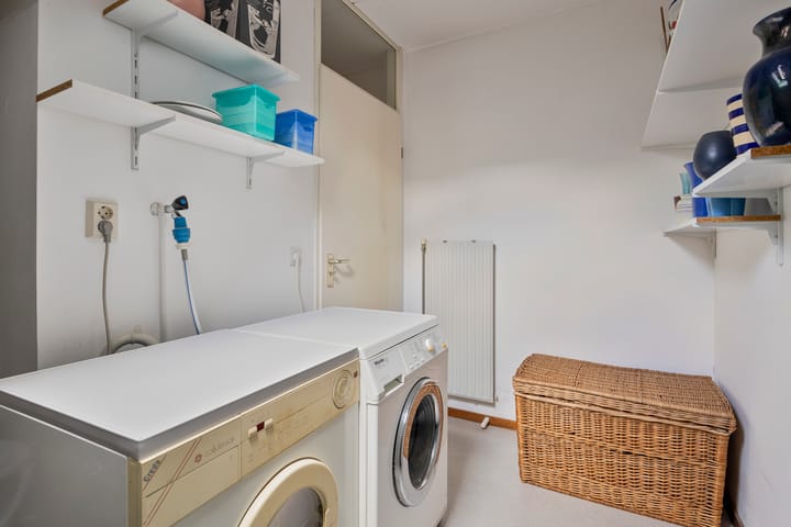 Foto 22 van Zwenkgras 11