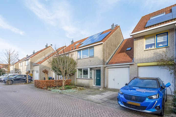 Foto 30 van Zwenkgras 11