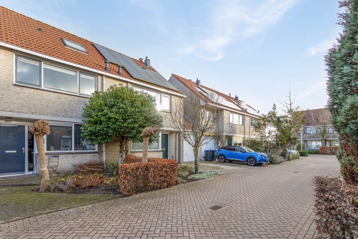 Foto 31 van Zwenkgras 11