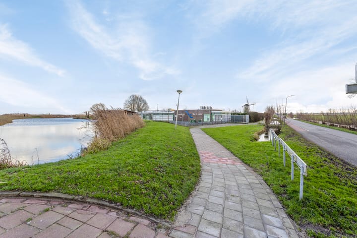 Foto 34 van Zwenkgras 11