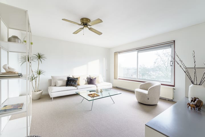 Foto 2 van Grote Beer 53