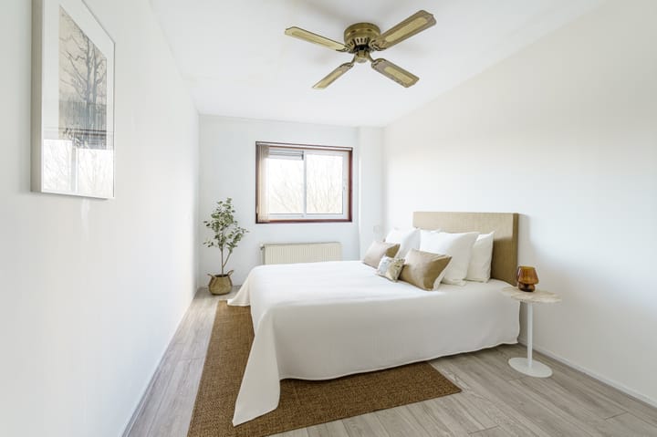 Foto 15 van Grote Beer 53