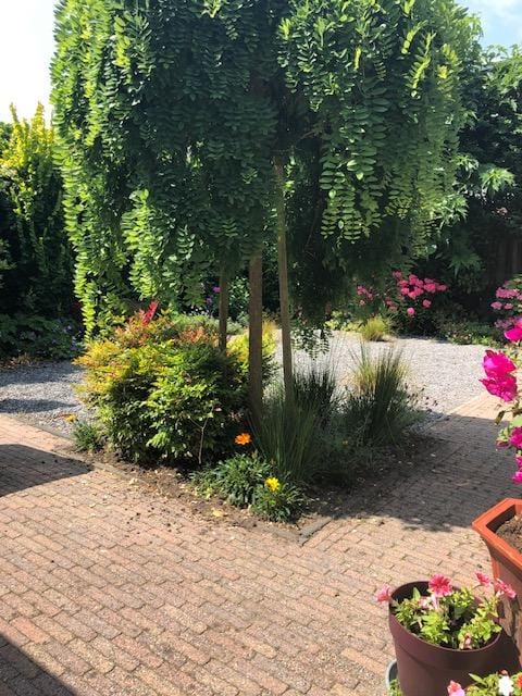 Foto 50 van Clappsperenlaan 10