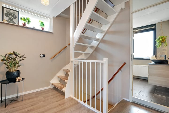 Foto 22 van Buxus 17