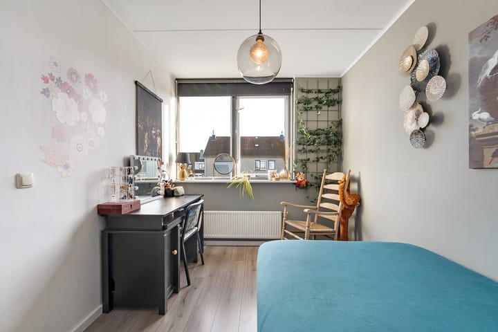 Foto 30 van Buxus 17