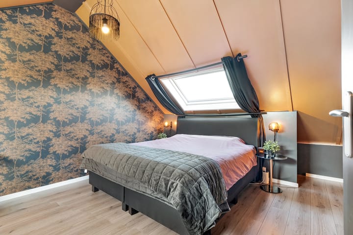 Foto 33 van Buxus 17