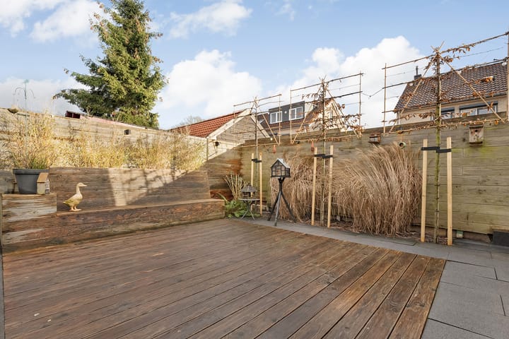 Foto 39 van Buxus 17