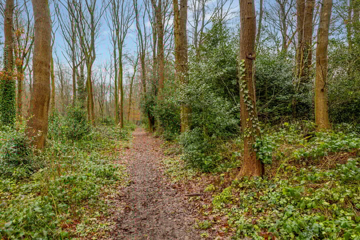 Foto 62 van Boslaan 19