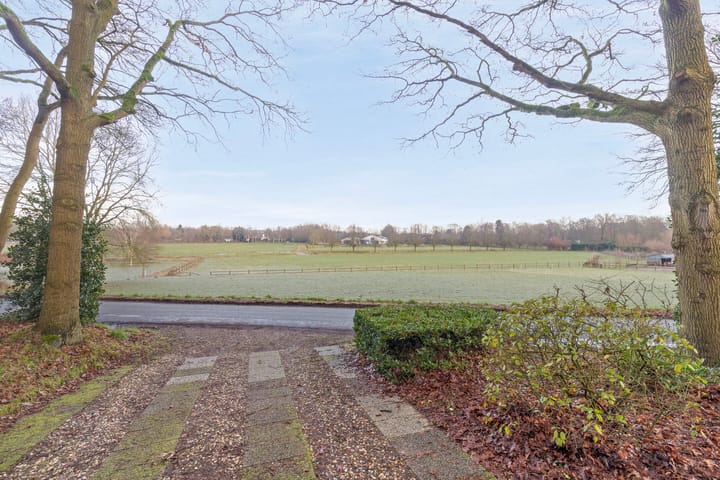 Foto 6 van Daansbergen 38