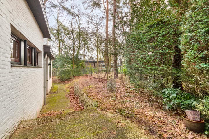 Foto 34 van Daansbergen 38