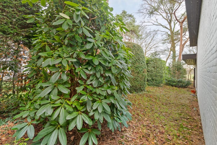 Foto 36 van Daansbergen 38