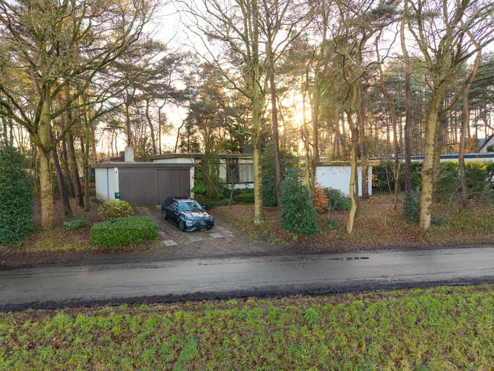 Foto 39 van Daansbergen 38