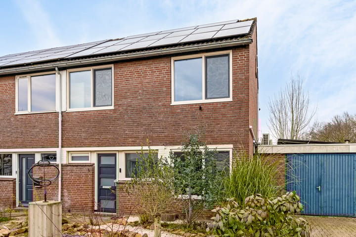 undefined main image