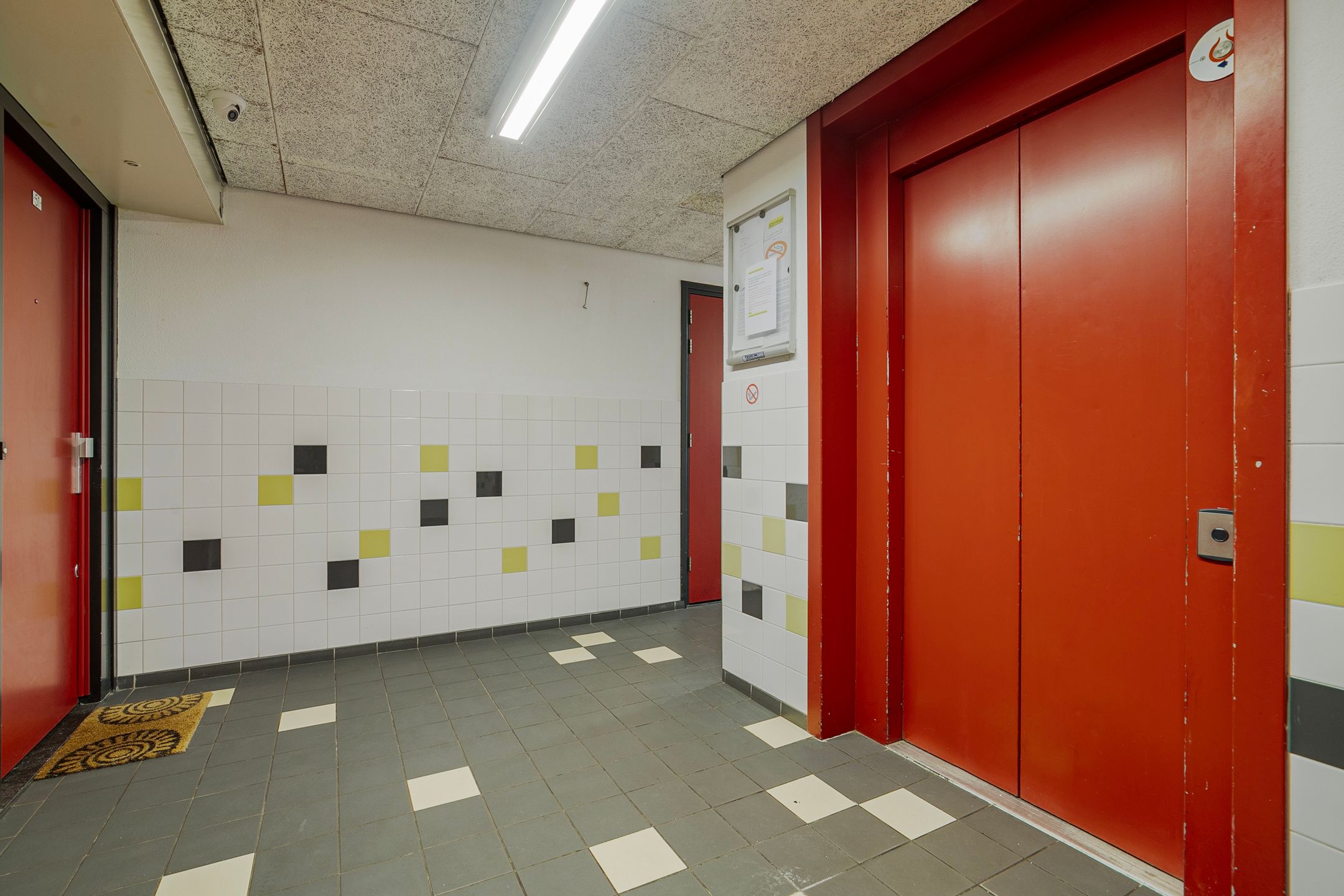 Foto 21 van Wildeman 89