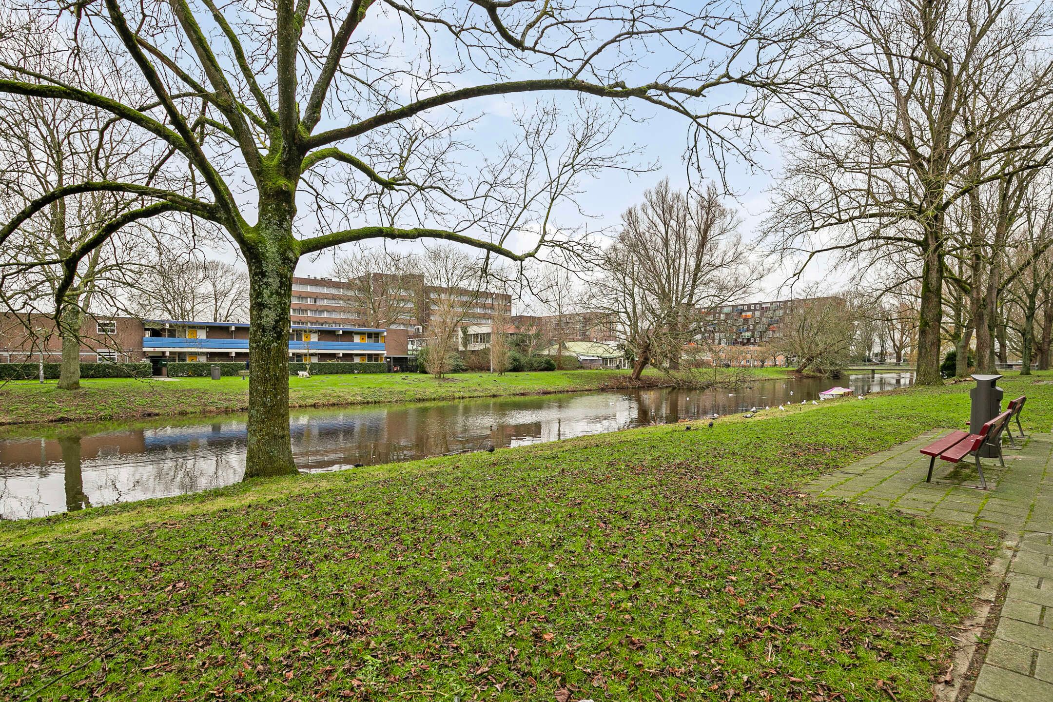 Foto 27 van Wildeman 89