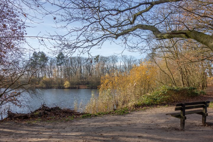 Foto 29 van Willem Bontekoestraat 11