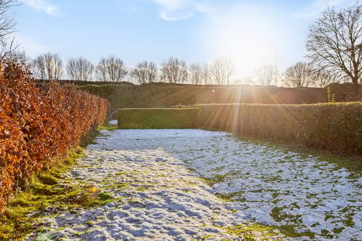 Foto 58 van Wolput 89