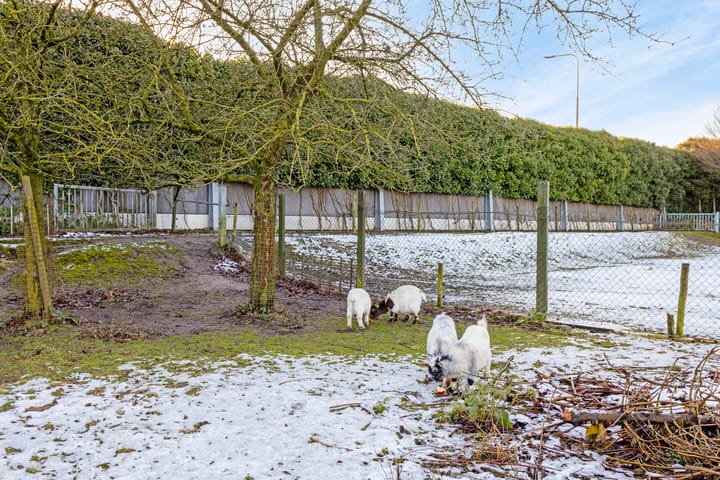 Foto 62 van Wolput 89