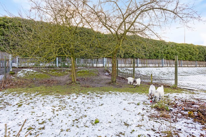 Foto 63 van Wolput 89