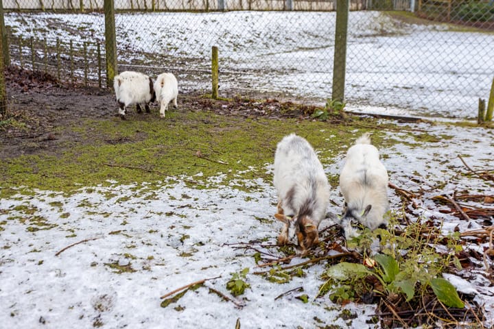 Foto 64 van Wolput 89