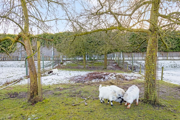 Foto 66 van Wolput 89