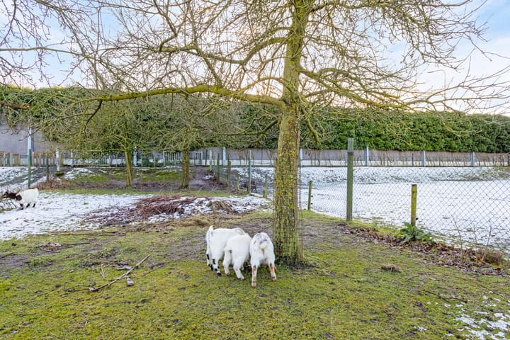 Foto 65 van Wolput 89