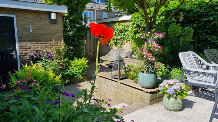 Foto 19 van C. Evertsenstraat 193