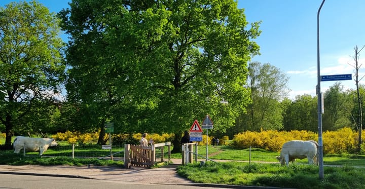 Foto 42 van C. Evertsenstraat 193