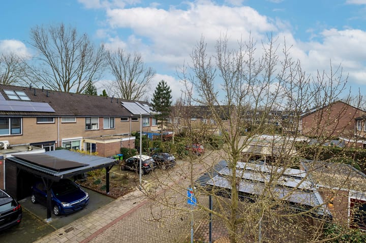 Foto 50 van Oudenboschstraat 83