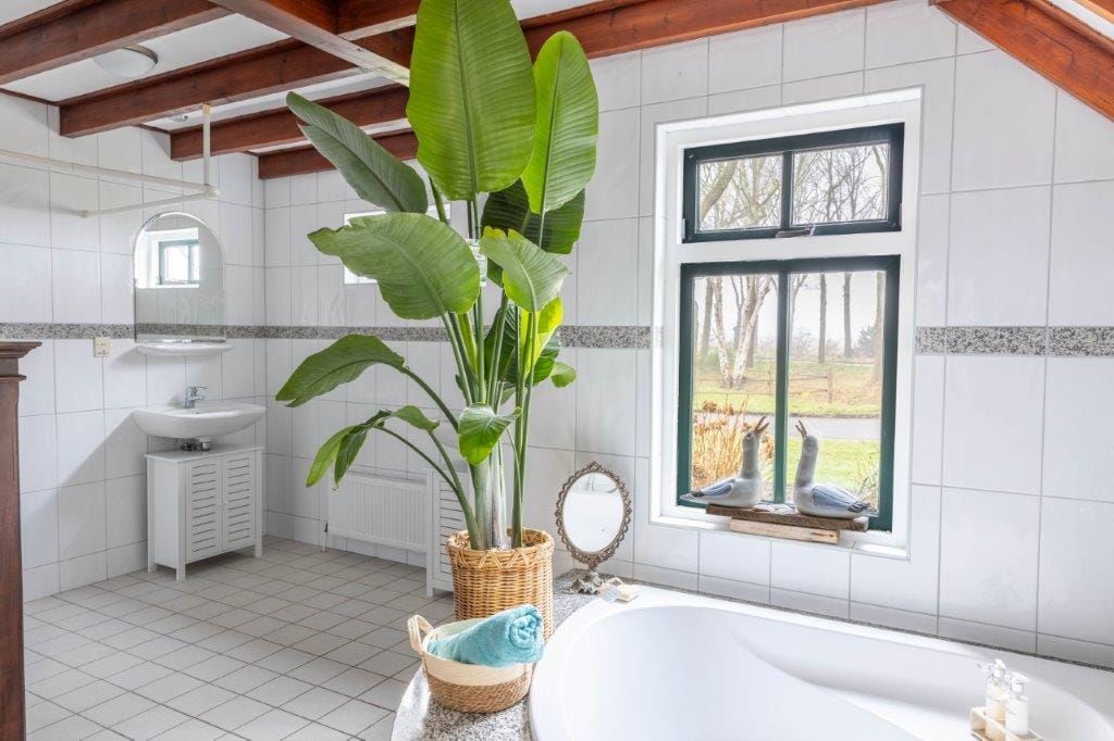 Foto 38 van Slegplakkenweg 1