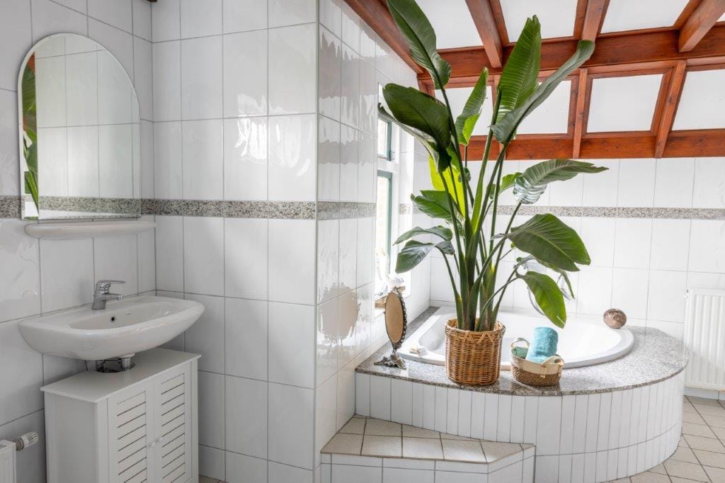 Foto 40 van Slegplakkenweg 1