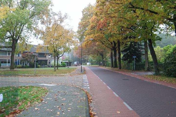 Foto 40 van Maria Theresiastraat 63