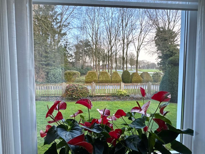 Foto 3 van de Loo 72