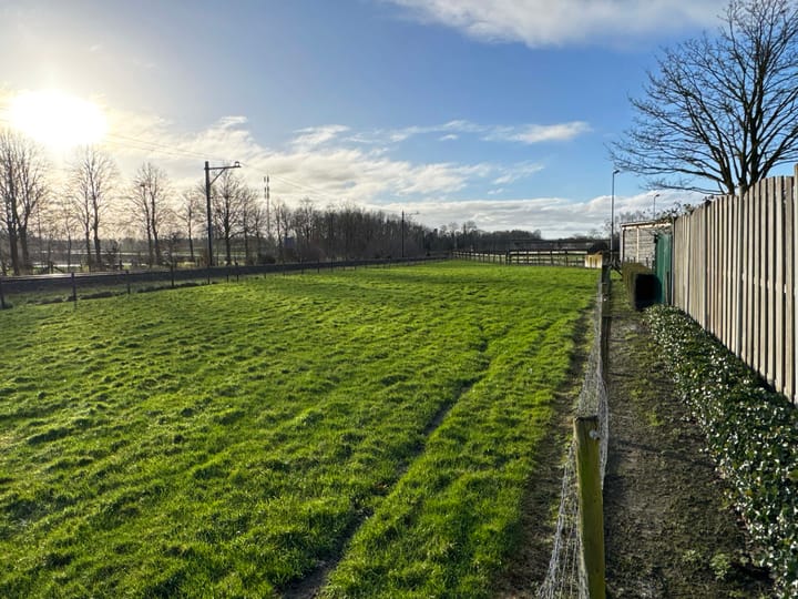 Foto 20 van de Loo 72