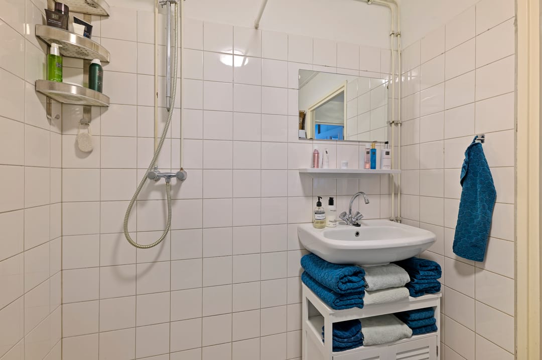 Foto 16 van Pieter Calandlaan 223