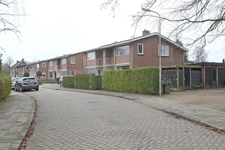 Foto 3 van Hanenburg 2