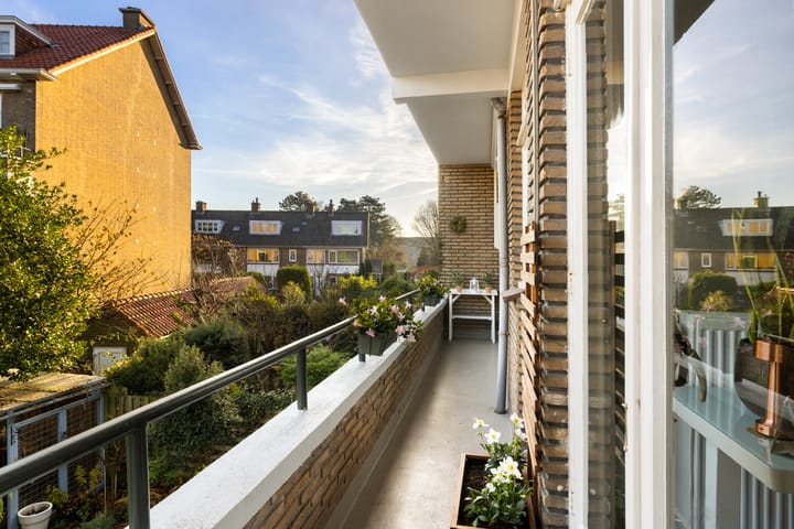 Foto 37 van Arabislaan 77