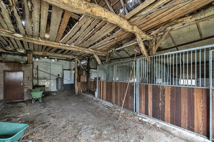 Foto 45 van Tibbensteeg 14