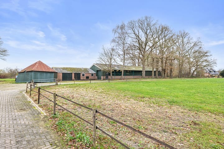 Foto 50 van Tibbensteeg 14