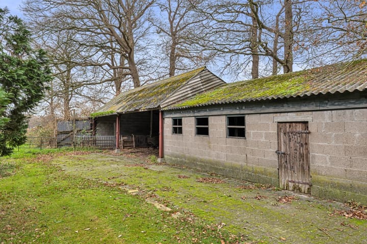 Foto 51 van Tibbensteeg 14