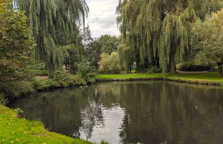 Foto 25 van Koningin Wilhelminalaan 351