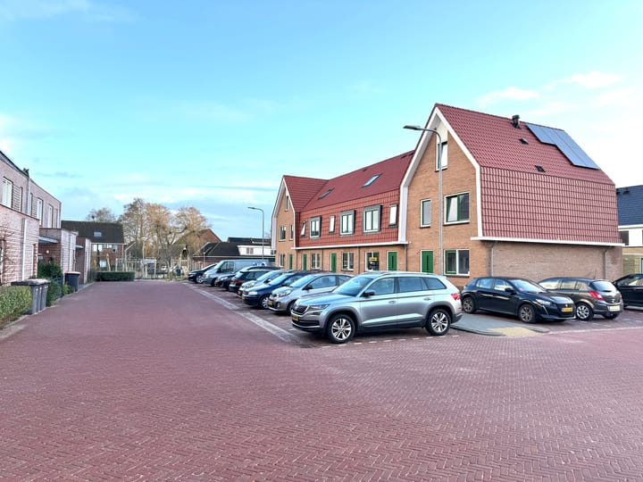 Foto 3 van Tijgerlelie 3