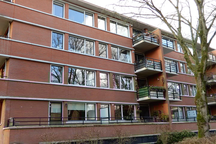 Bekijk foto van Iepenlaan 124