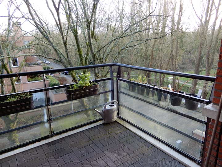 Foto 8 van Iepenlaan 124