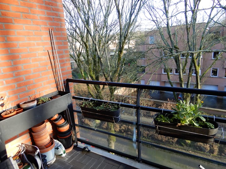 Foto 9 van Iepenlaan 124