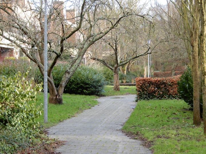 Photo 21 of Iepenlaan 124