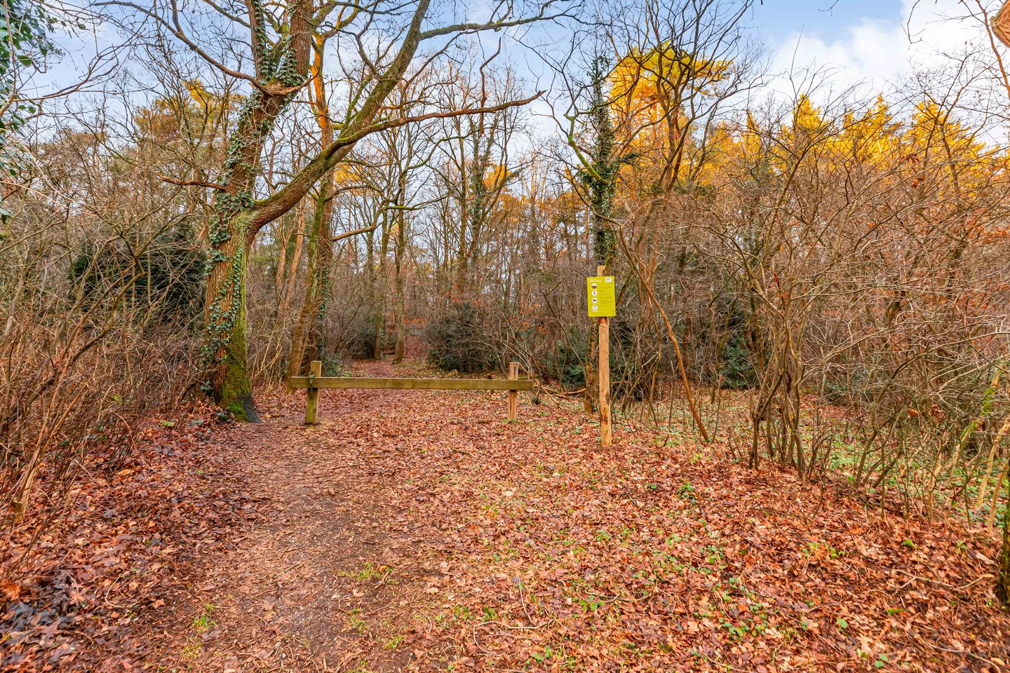 Photo 4 of van Westrenenlaan 3